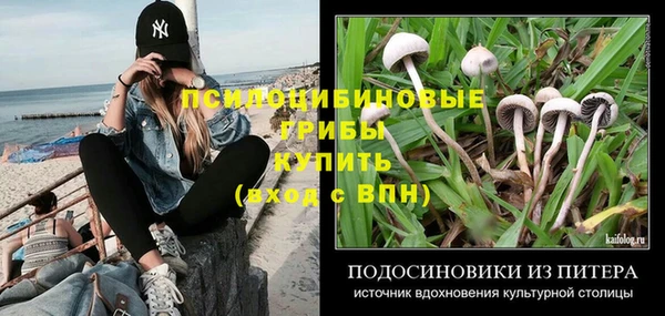 apvp Беломорск